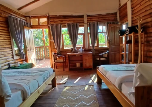 Deluxe Family Rooms