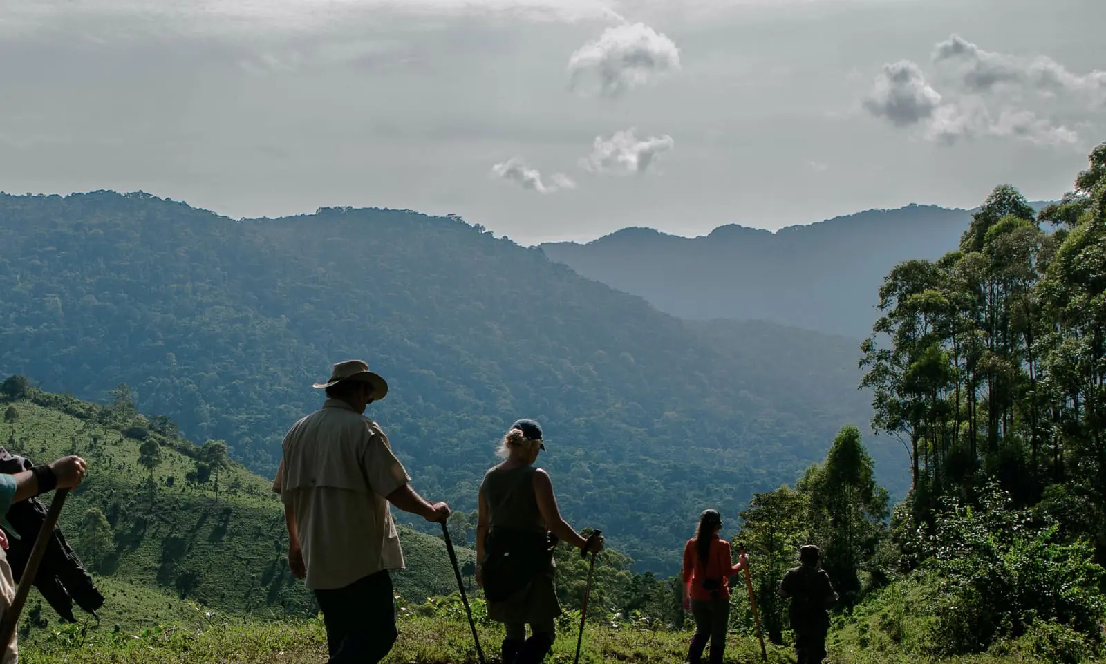 Bwindi Impenetrable National Park.webp
