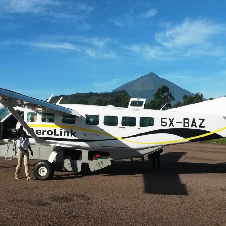 Uganda Gorilla Permit Prices 2026-2027: Save $200 with the 2026 Low Season Special