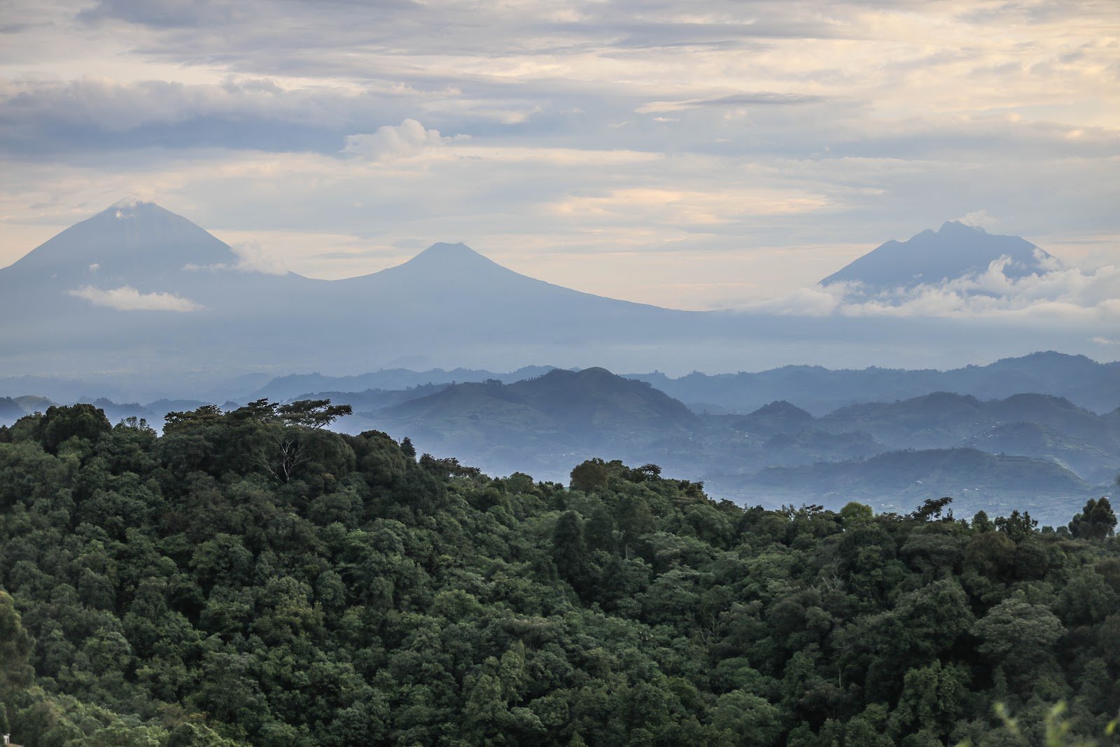 What Visit Bwindi Impenetrable National Park?