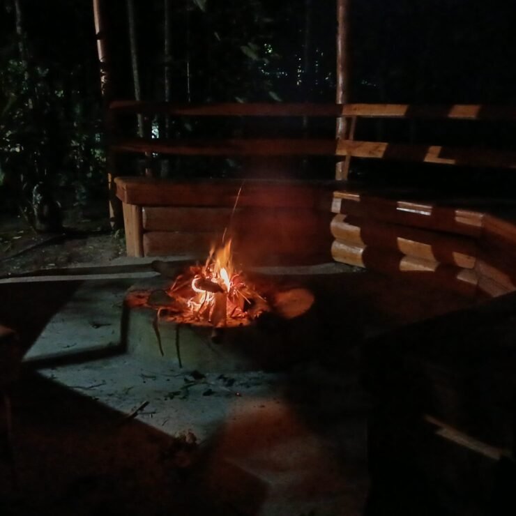 How to Choose the Best Uganda Gorilla Trekking Lodges (A 2026 Comparison)