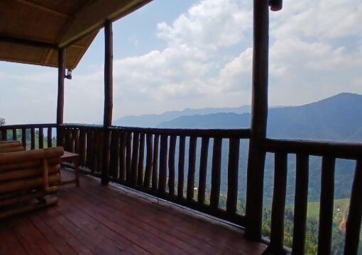 Deluxe Single Cottages