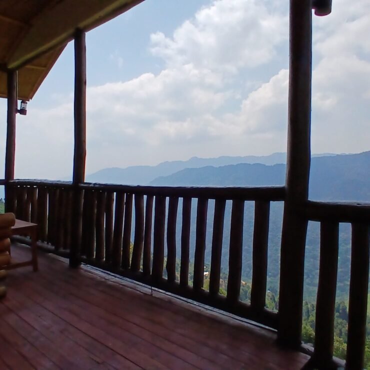 Gorilla Trekking Uganda Cost 2026/2027: Luxury vs. Budget Guide