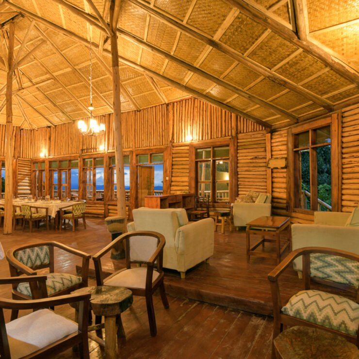 The Best Base for Gorilla Habituation: Why Orugano Bwindi is Your Secret Weapon