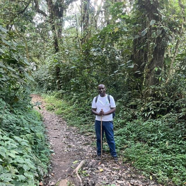 Senior Safari Expert Bob Kabaziguruka leading the scenic Nkuringo to Buhoma forest walk through Bwindi Impenetrable National Park, a signature experience for guests at Orugano Bwindi Lodge seeking authentic Uganda Safari Tours