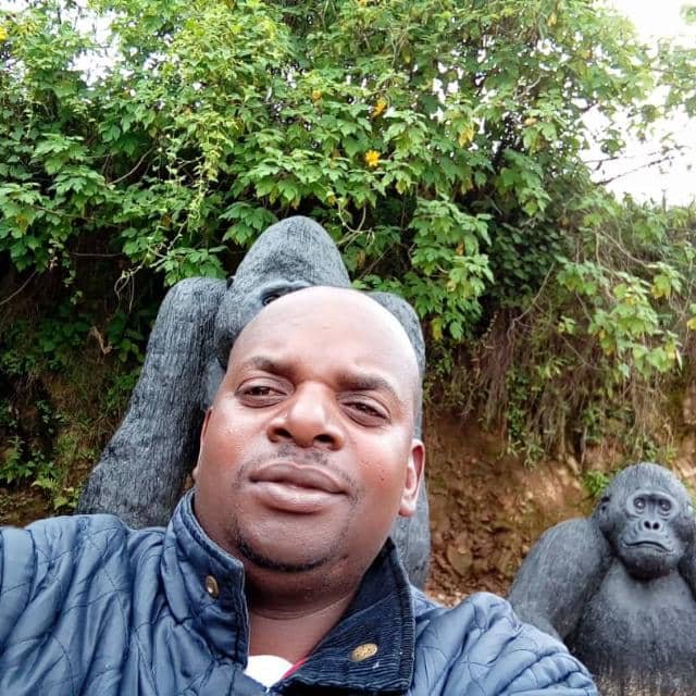 Orugano Bwindi Lodge Flora Expert Sungura Kenneth overseeing forest regeneration and the removal of invasive wild dagga to restore the native habitat near the gorilla sculptures—a key part of our eco-luxury commitment to Uganda Safari Tours