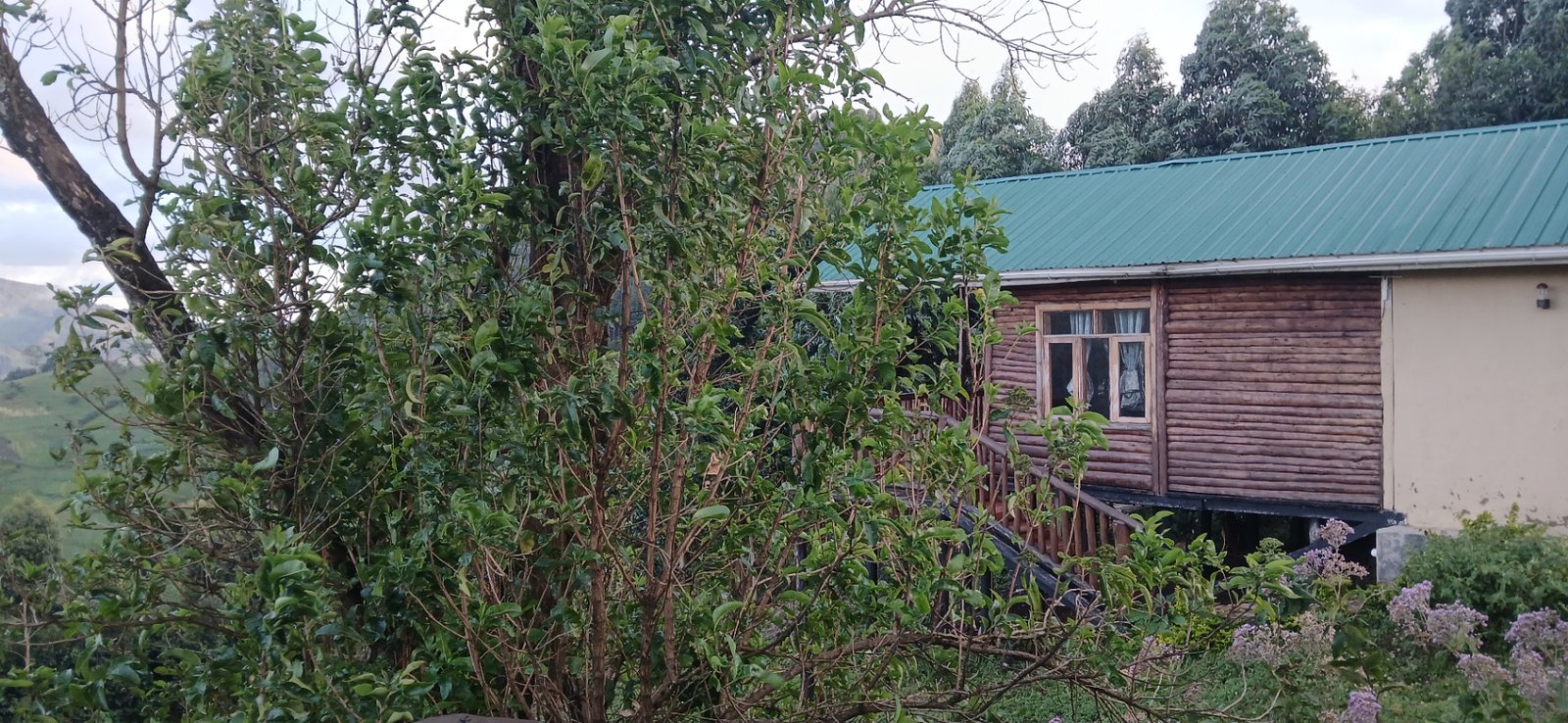 Luxury Uganda Safari: 7 Mistakes to Avoid (And How to Fix Them)