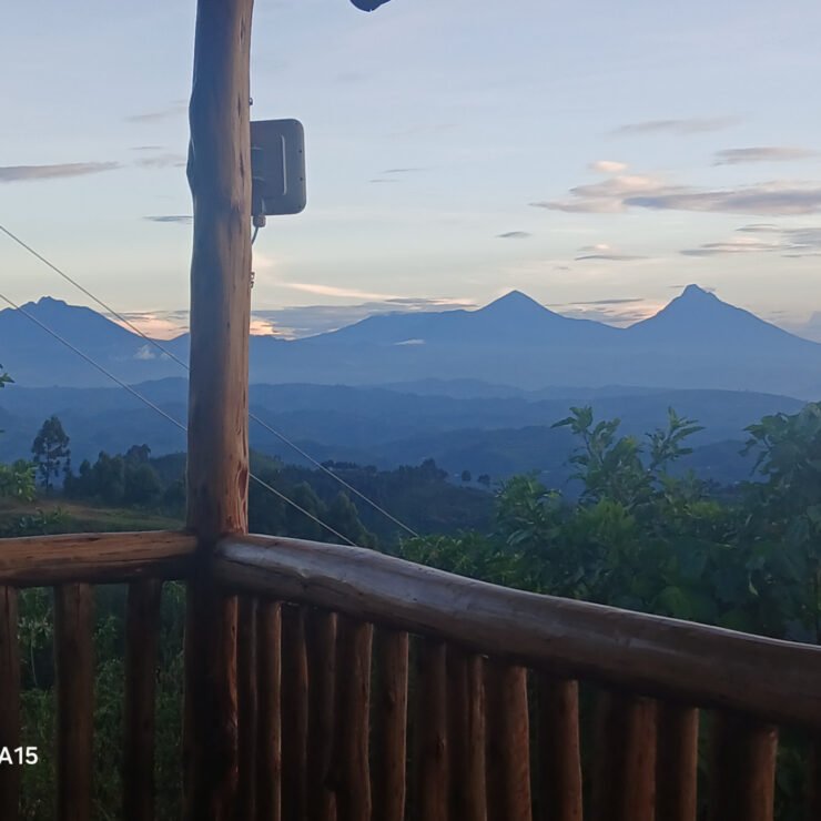 The Ultimate Guide: Choosing the Right Bwindi Sector for Your Gorilla Trek