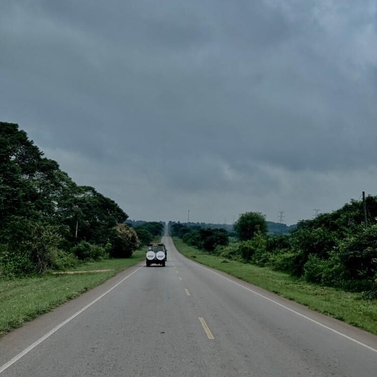 Fly-in vs. Road Trip: Which Is Better For Your Luxury Uganda Safari?