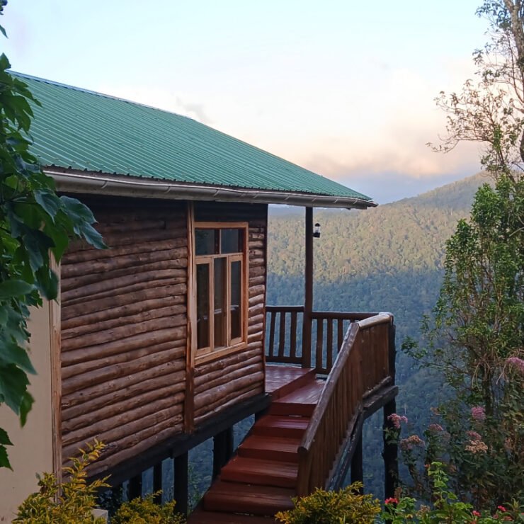 7 Reasons Why Orugano is the Best Hotel in Uganda | Natural Simplicity