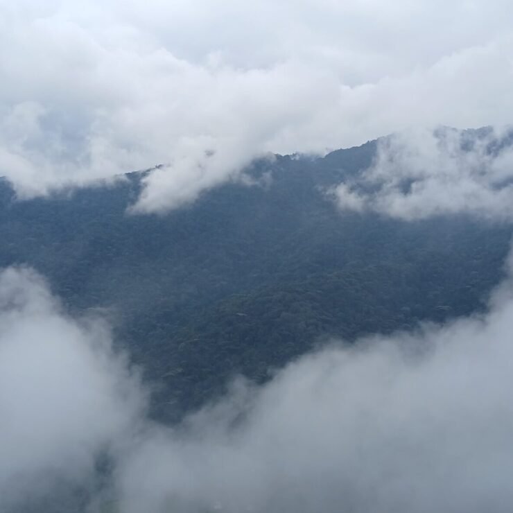 Gorilla Trekking Rules Uganda & Age Limit: Bwindi Guide (2026)