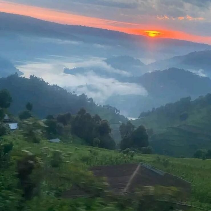 Lodge Near Bwindi Trekking Start Points: Best Options for Nkuringo & Rushaga