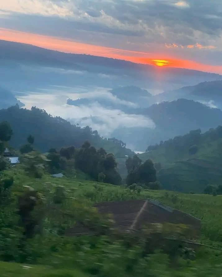 Lodge Near Bwindi Trekking Start Points: Best Options for Nkuringo & Rushaga