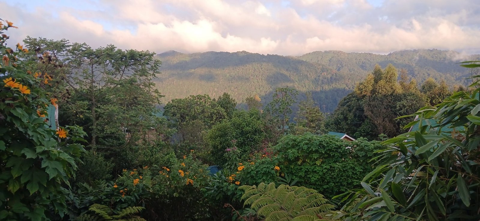 Gorilla Trekking Rules & Age Limit: A Guide for Bwindi