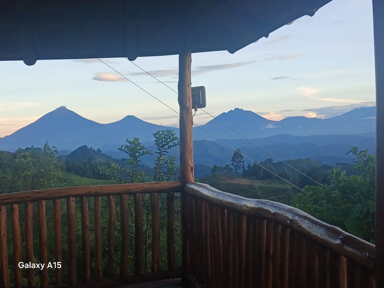 What to Expect: Bwindi Gorilla Trek Experience Guide (2026)