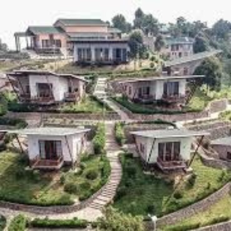 How Difficult is Gorilla Trekking in Bwindi? (Nkuringo Guide)