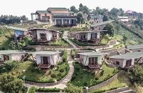 How Difficult is Gorilla Trekking in Bwindi? (Nkuringo Guide)