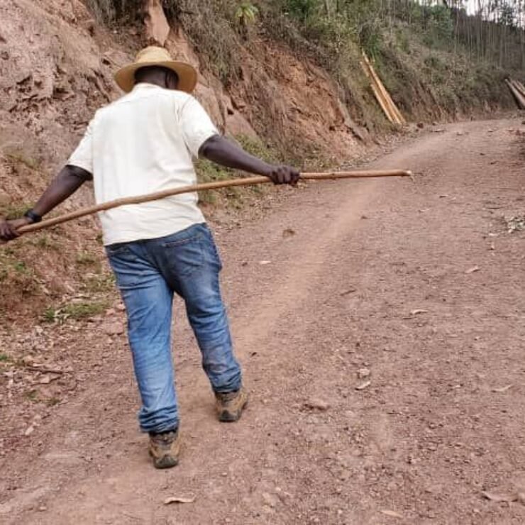 New Road Improvements Make Reaching Orugano Bwindi Lodge Easier Than Ever (2026 Update)