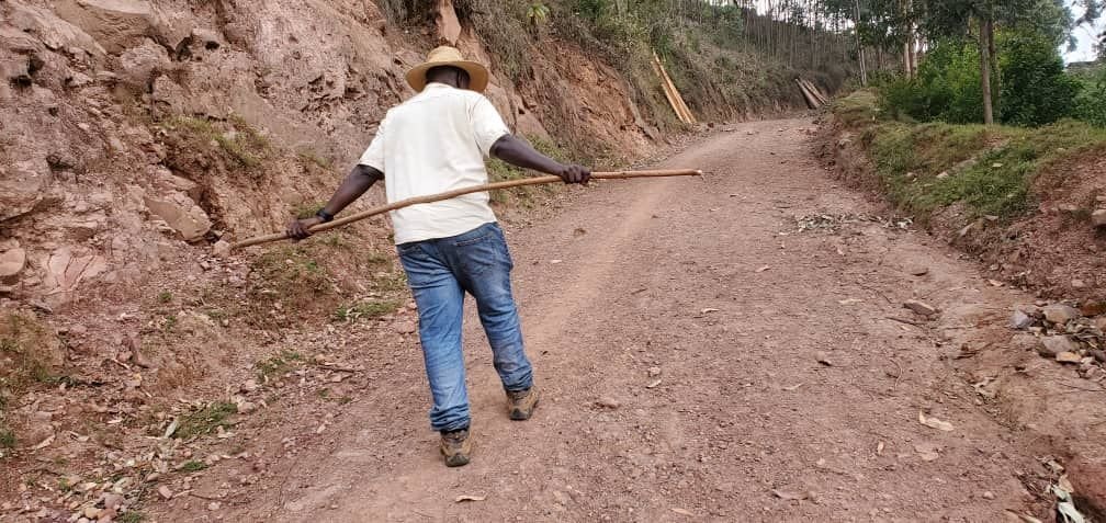 New Road Improvements Make Reaching Orugano Bwindi Lodge Easier Than Ever (2026 Update)