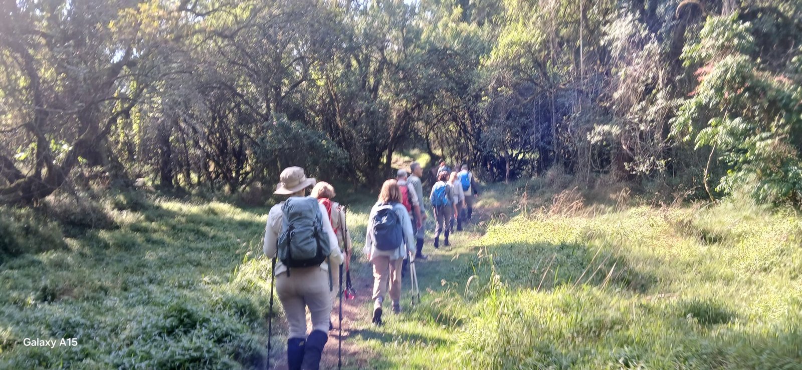 Gorilla trekking and golden monkey safari in mgahinga national park by orugano safaris