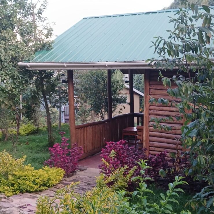 Luxury vs Budget Lodges in Bwindi: Is It Worth Paying More?