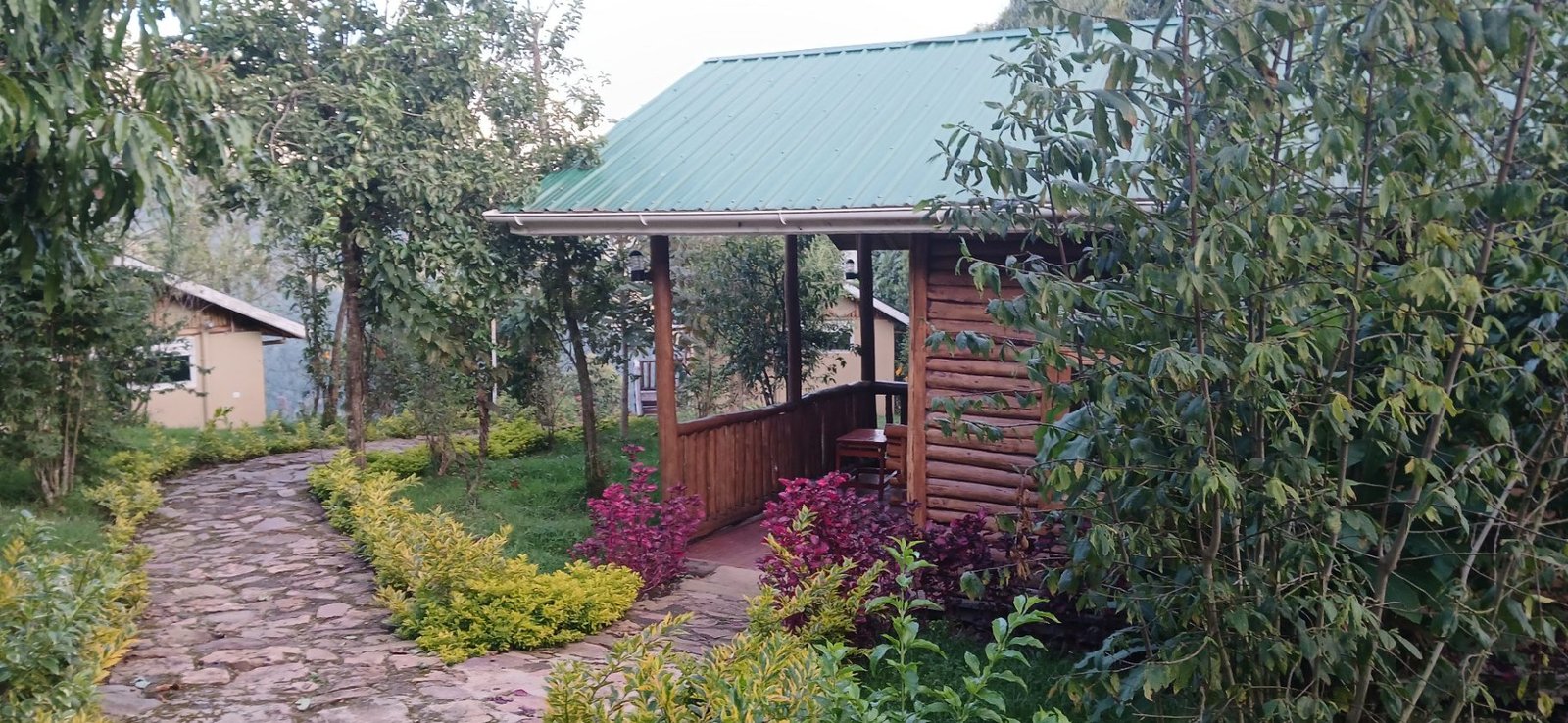 Luxury vs Budget Lodges in Bwindi: Is It Worth Paying More?